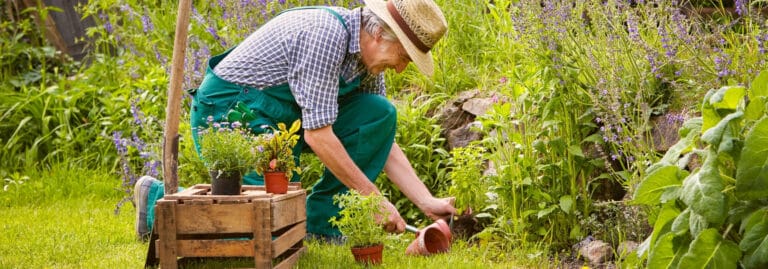Resumen de la industria del fitness: Un nuevo CEO para "ayudar a muscularse