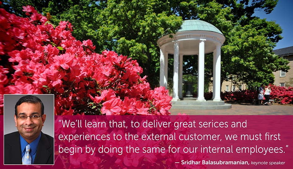 Azaleas in bloom at the Old Well at the University of North Carolina at Chapel Hill.